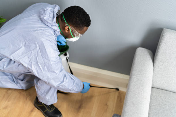 Best Fumigation Services  in Mansfield, LA